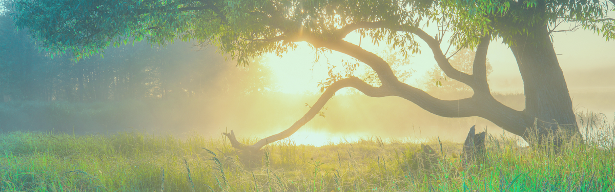 đżAbout Holistic Life with Jamie