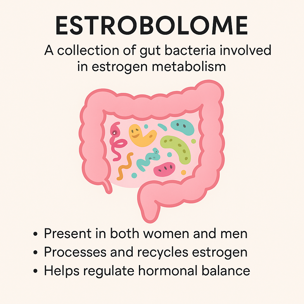 July 5-The Gut-Hormone Connection (Yes, Even Post-Menopause and even MEN)
