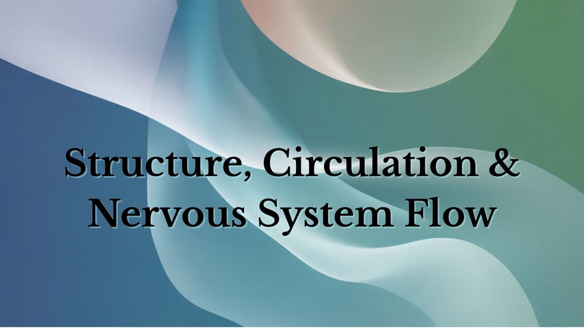 Structure, Circulation & Nervous System Flow