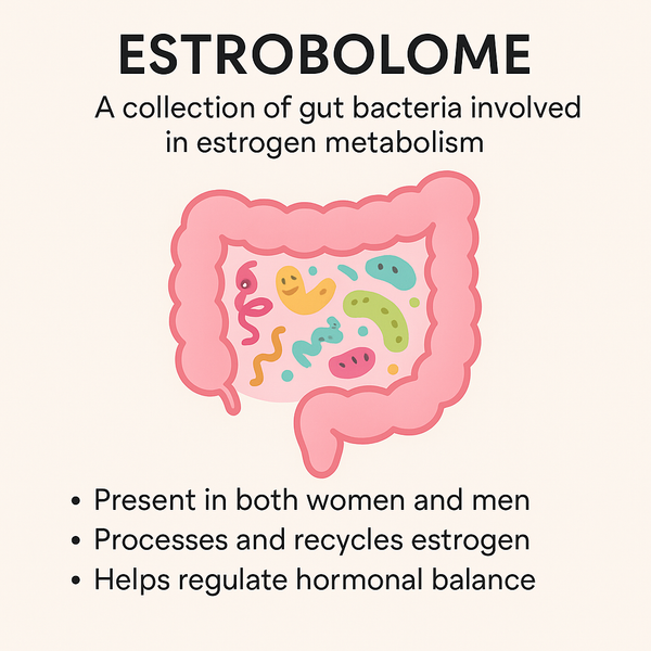 July 5-The Gut-Hormone Connection (Yes, Even Post-Menopause and even MEN)