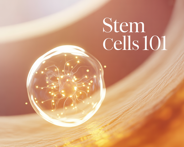 Stem Cells 101: What They Do and How to Support Natural Activation at Home